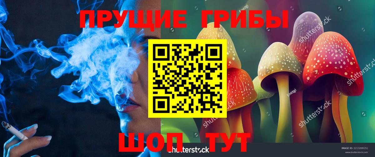 Галлюциногенные грибы MAGIC MUSHROOMS  Галлюциногенные грибы GOLDEN TEACHER  Вход с VPN  Клин 
