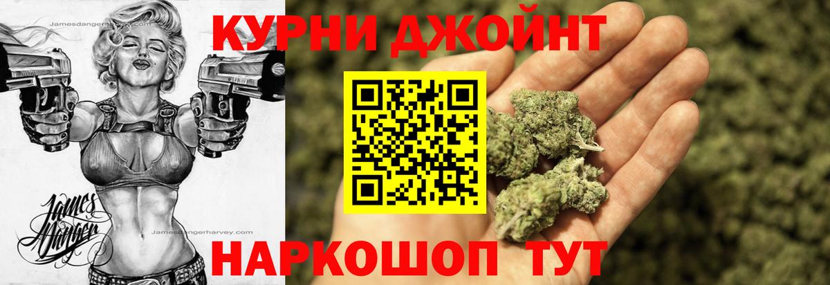 Бошки Шишки план Клин